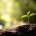 Business growth